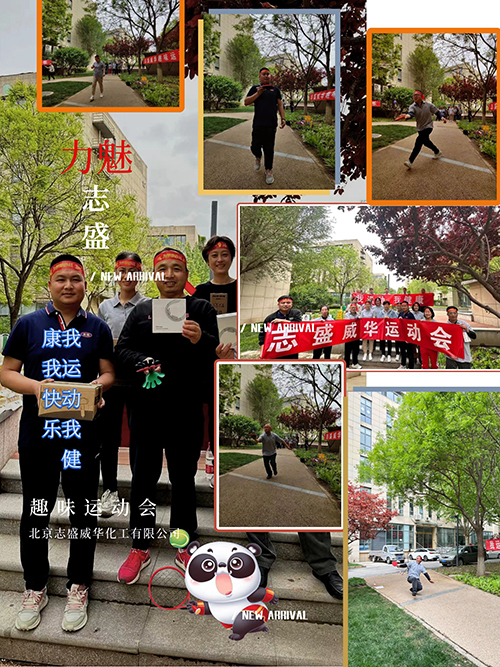 志盛威華趣味運動會合照